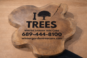 Woodwork Winter Garden Tree Care
