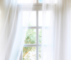 Window Curtain