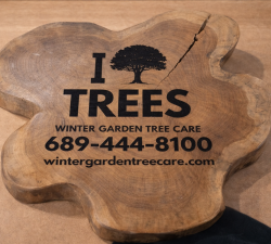 Woodwork Winter Garden Tree Care